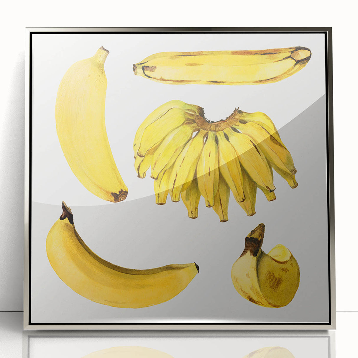 Mid-century modernist art featuring assorted fruits in vibrant colors on a silver framed acrylic print.