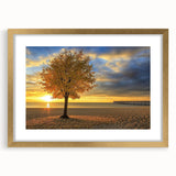 Framed landscape artwork displaying a serene beach scene with soft waves and golden sand, accented by a sophisticated gold mat, ideal for home decor.