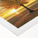 Rolled canvas print showcasing a serene beach landscape with soft waves and vibrant blue skies, elegantly packaged in a protective cardboard tube for optimal delivery.