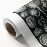 Modern Wall Art - Intricate Black and White Cystoidea Design