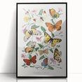 Classic Romantic Paintings - Butterfly & Moth Illustration Wall Art