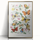 Classic Romantic Paintings - Butterfly & Moth Illustration Wall Art