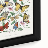 Classic Romantic Paintings - Butterfly & Moth Illustration Wall Art