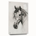 Colorful acrylic glass artwork depicting various animals in a dynamic side view, elegantly mounted with pins against a modern backdrop, ideal for animal-themed decor.