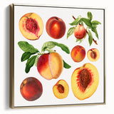 Framed canvas featuring a vintage poster of a landscape with fruit trees in muted silver and gold tones.