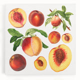 Black and white stretched canvas featuring an assortment of fruits, ideal for kitchen wall art.