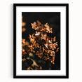 Abstract art print featuring a textured, colorful depiction of fall, in a large black frame, ideal for living room decor.