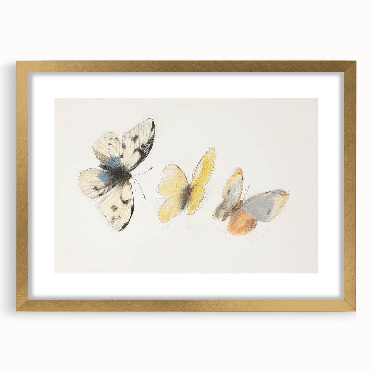 Framed artwork showcasing a detailed illustration of various animals, set in a stylish gold frame with a mat, perfect for home decor and wildlife enthusiasts.