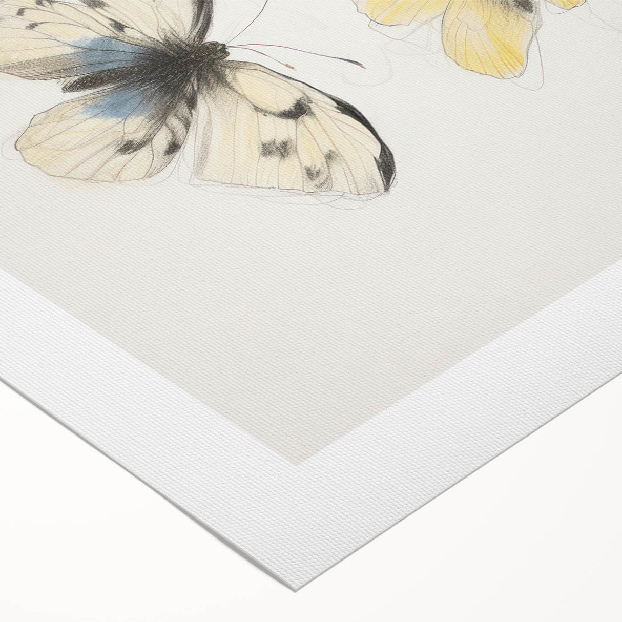 Vibrant rolled canvas depicting a whimsical animal design, showcasing intricate details and bright colors, packaged securely in a protective cardboard tube for easy display.
