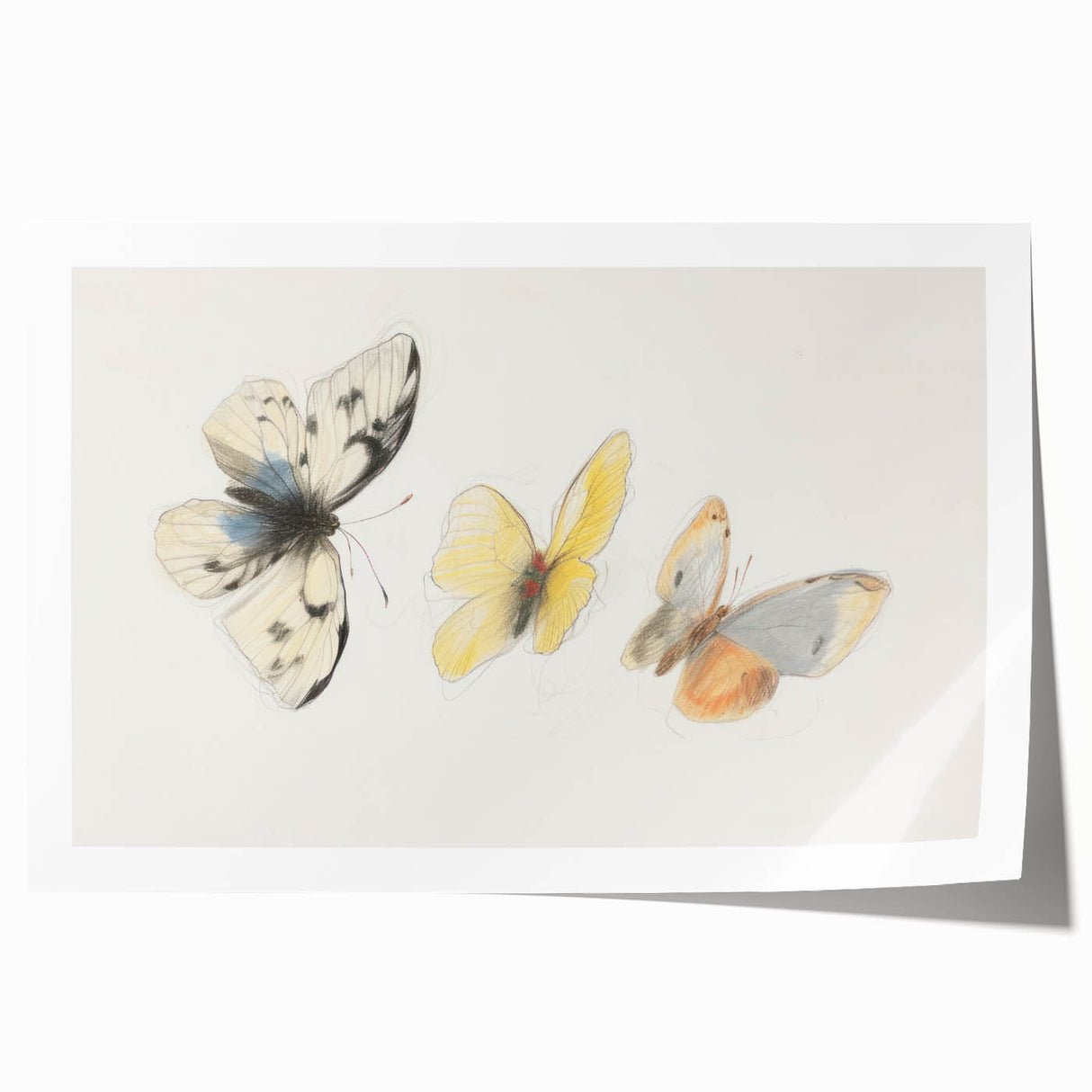 Colorful rolled canvas featuring a vibrant animal-themed design, showcasing intricate details and textures, securely packaged in a durable cardboard tube for safe delivery. Ideal for enhancing home decor with a touch of wildlife artistry.