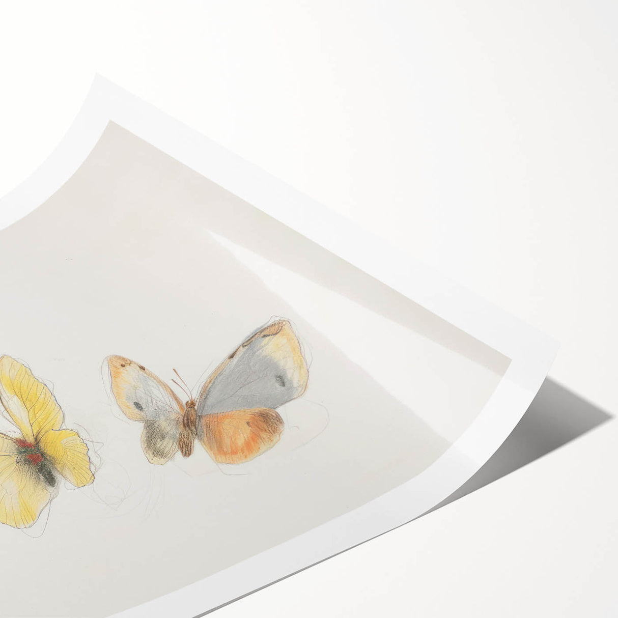 Rolled canvas print showcasing a vibrant animal design featuring intricate patterns and colors, elegantly packaged in a protective cardboard tube for safe storage.