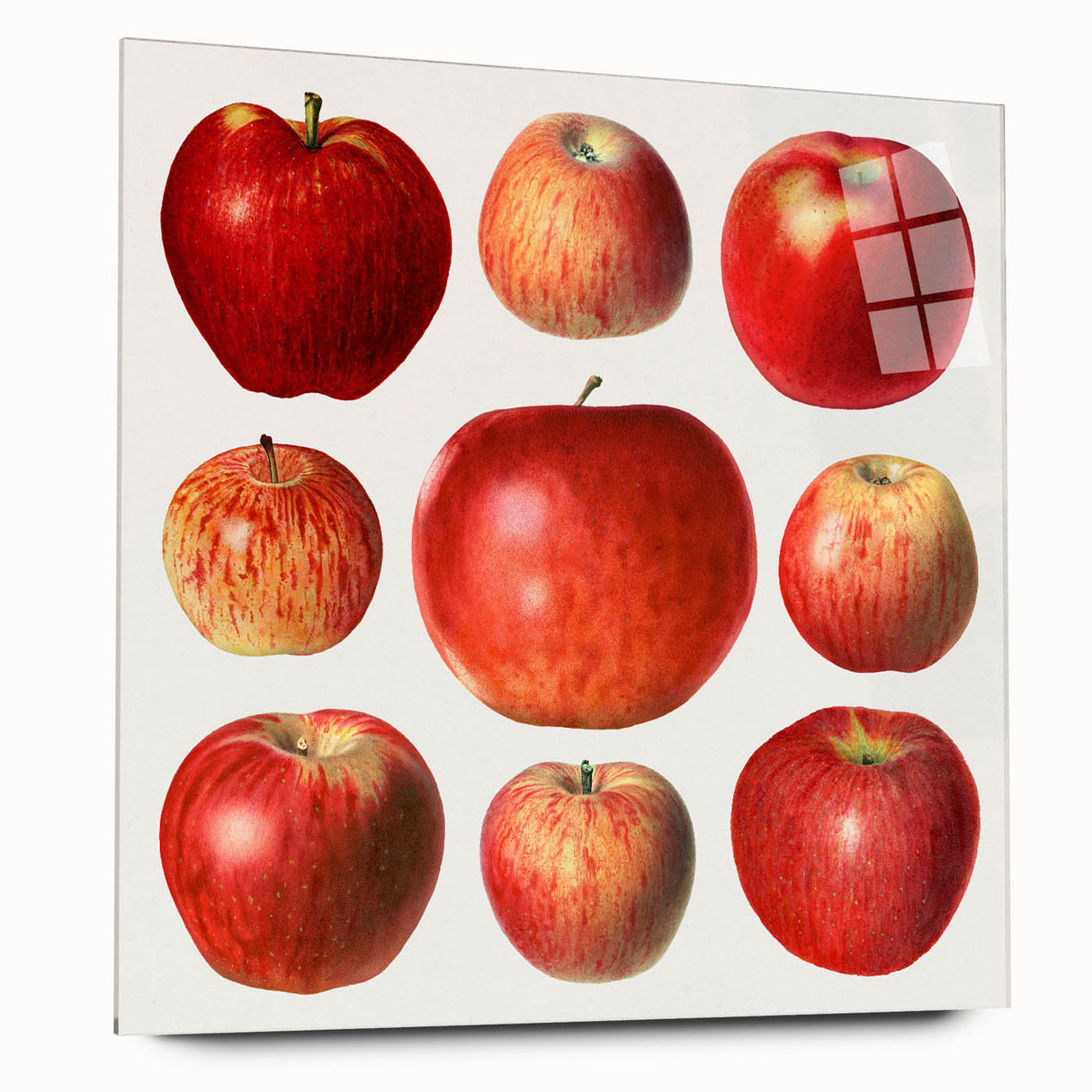 Large abstract wall art featuring an assortment of fruits in vibrant colors on acrylic glass.
