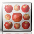 Large abstract wall art featuring assorted fruits in bold colors on black acrylic, framed, ideal for modern kitchen decor.