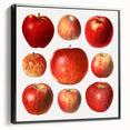 Black and white framed canvas featuring a vintage poster art style landscape with assorted fruits.