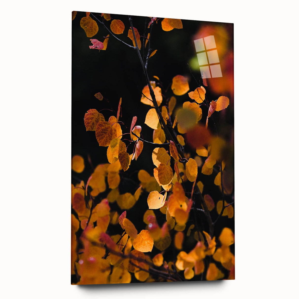 Large abstract wall art in warm autumn hues on acrylic glass, ideal for bedroom or dining room decor.