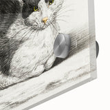 Classic Romantic Paintings - Lying Cat Illustration Wall Art