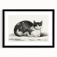 Classic Romantic Paintings - Lying Cat Illustration Wall Art