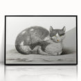 Classic Romantic Paintings - Lying Cat Illustration Wall Art