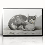 Classic Romantic Paintings - Lying Cat Illustration Wall Art