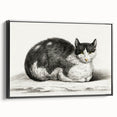 Classic Romantic Paintings - Lying Cat Illustration Wall Art