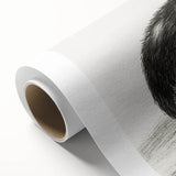 Classic Romantic Paintings - Lying Cat Illustration Wall Art