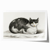 Classic Romantic Paintings - Lying Cat Illustration Wall Art