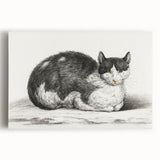 Classic Romantic Paintings - Lying Cat Illustration Wall Art