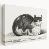 Classic Romantic Paintings - Lying Cat Illustration Wall Art
