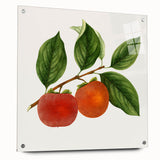 Acrylic glass print of colorful abstract fruit design, ideal for dining room decor.