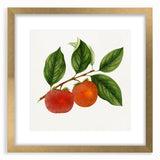 Extra large abstract art print featuring textured design of assorted fruits in vibrant colors, framed in gold.