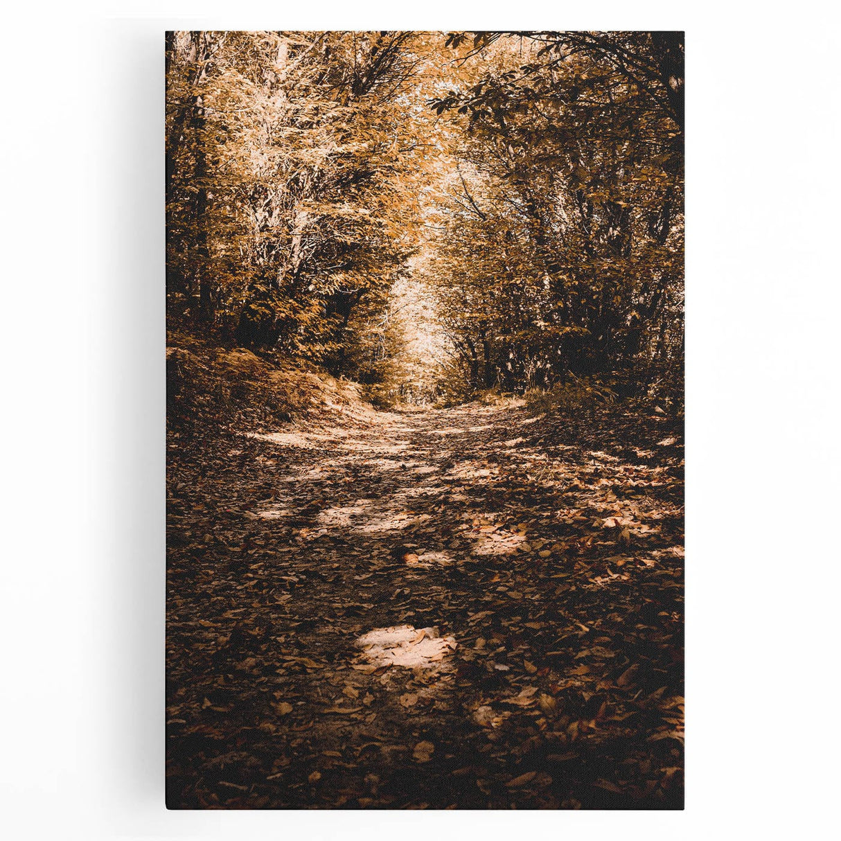 Large black and white stretched canvas depicting a fall season theme, ideal for kitchen art.