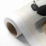 Famous Romantic Era Art - Sooty Tern Bird Illustration Canvas Print