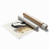 Famous Romantic Era Art - Sooty Tern Bird Illustration Canvas Print