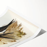 Famous Romantic Era Art - Sooty Tern Bird Illustration Canvas Print