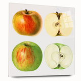 Large abstract wall art featuring an array of fruits in bright colors on acrylic glass.