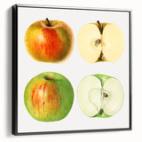 Black and white framed canvas of vintage fruit illustrations, ideal for bedroom wall decor.