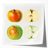 Rolled canvas print of assorted fruits in vibrant colors, ideal for art wall dining room or kitchen decor.