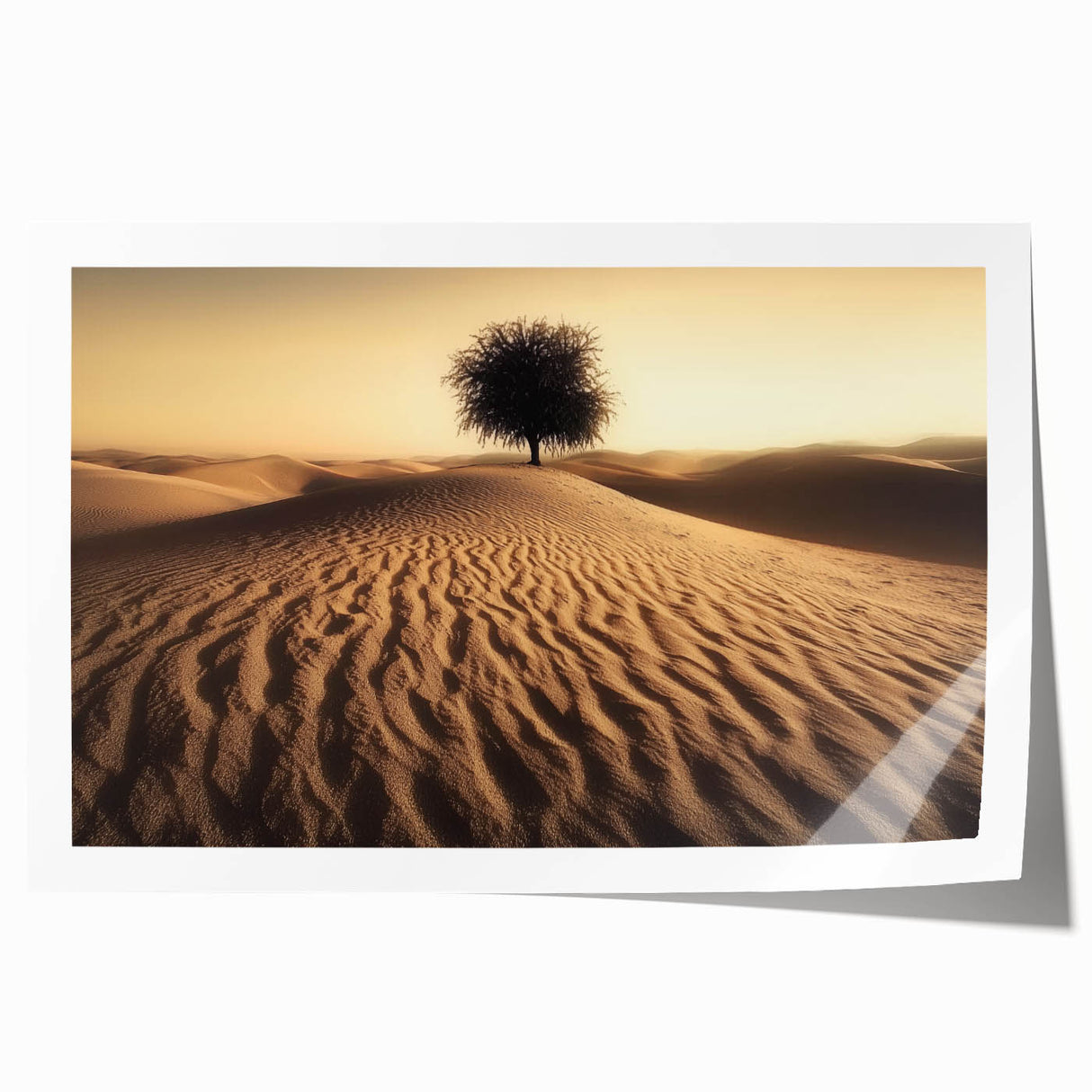 Serene landscape print showcasing vibrant beaches with soft waves and clear blue skies, elegantly rolled for display and shipping in a protective tube.