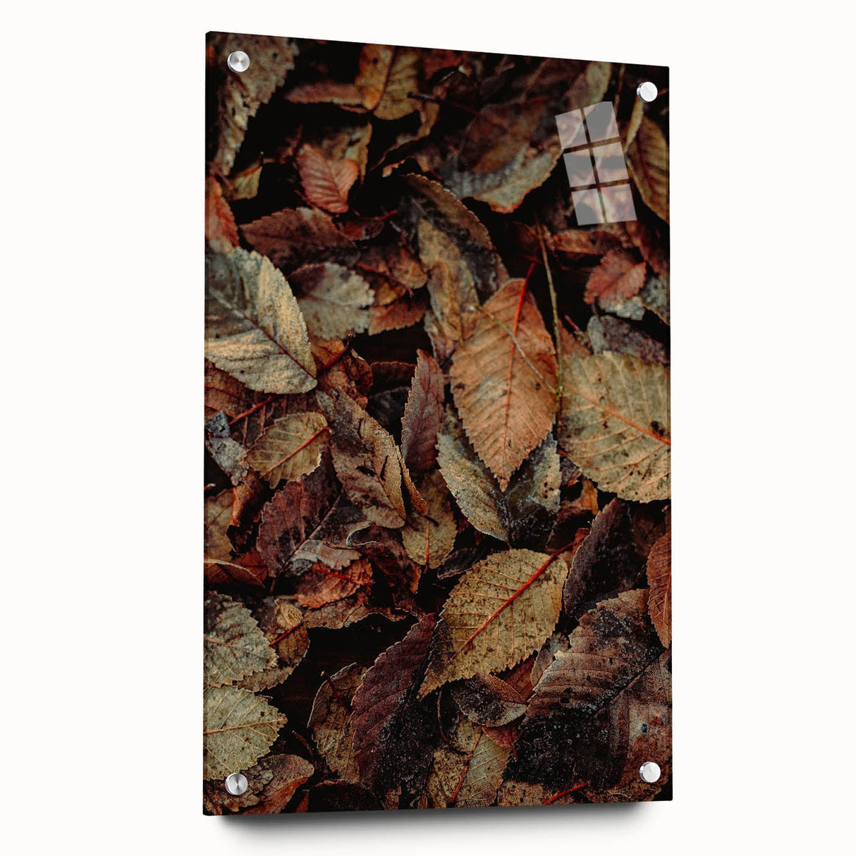 Large abstract wall art depicting autumnal colors on acrylic glass, suitable for bedroom or dining room decor.