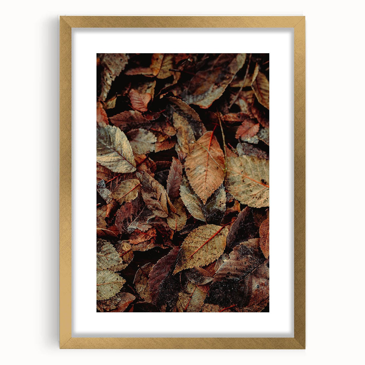Extra large abstract art print with textured autumnal hues on a gold-framed canvas, ideal for living room decor.