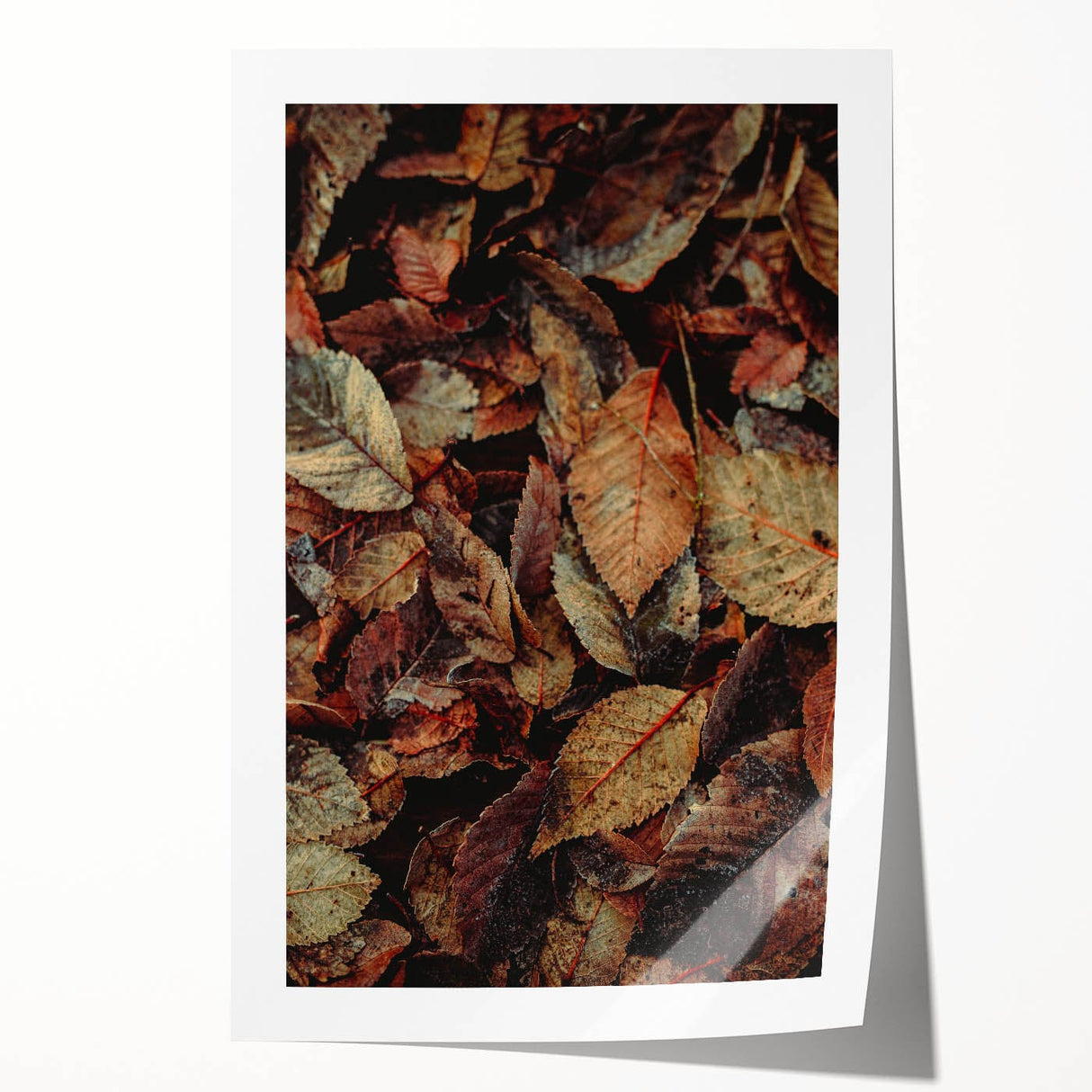 Extra large rolled canvas print featuring a detailed floral design in warm autumn hues, ideal for dining room wall art.