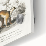 Classic Romantic Paintings: Lemurs - Historical Romanticism Canvas