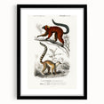 Classic Romantic Paintings: Lemurs - Historical Romanticism Canvas