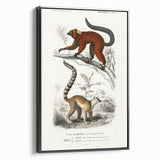 Classic Romantic Paintings: Lemurs - Historical Romanticism Canvas