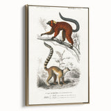 Classic Romantic Paintings: Lemurs - Historical Romanticism Canvas