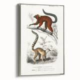 Classic Romantic Paintings: Lemurs - Historical Romanticism Canvas