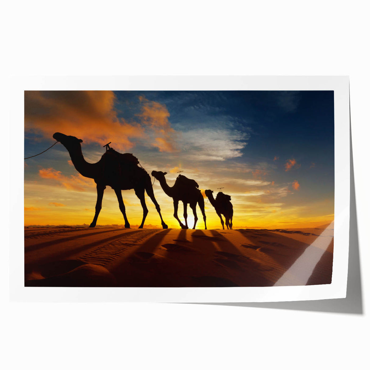 Extra large rolled print of an Algerian landscape with vibrant floral elements, ideal for art wall dining room.