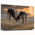 Large abstract wall art depicting a serene Pakistani landscape in muted earth tones on acrylic glass.