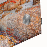 Large abstract wall art depicting the Tasmanian scenery in muted earth tones on acrylic glass.
