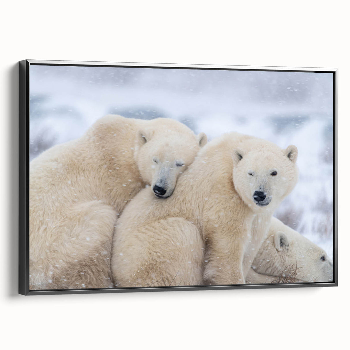 Black and white framed canvas of a Manitoba landscape, ideal for bedroom wall art.